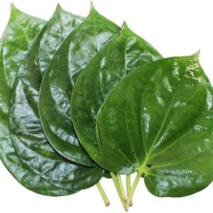 "Fresh Paan Ka Patta (Betel Leaf) for puja, offerings, and Hindu rituals." "Betel Leaf for Hindu worship ceremonies and sacred offerings." "Paan Ka Patta for religious rituals and Yagna ceremonies."
