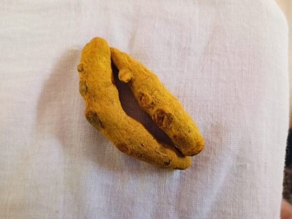 Buy Khadi Haldi online Natural turmeric sticks for rituals Organic turmeric for puja and skincare Haldi sticks for Hindu ceremonies Ayurvedic turmeric uses