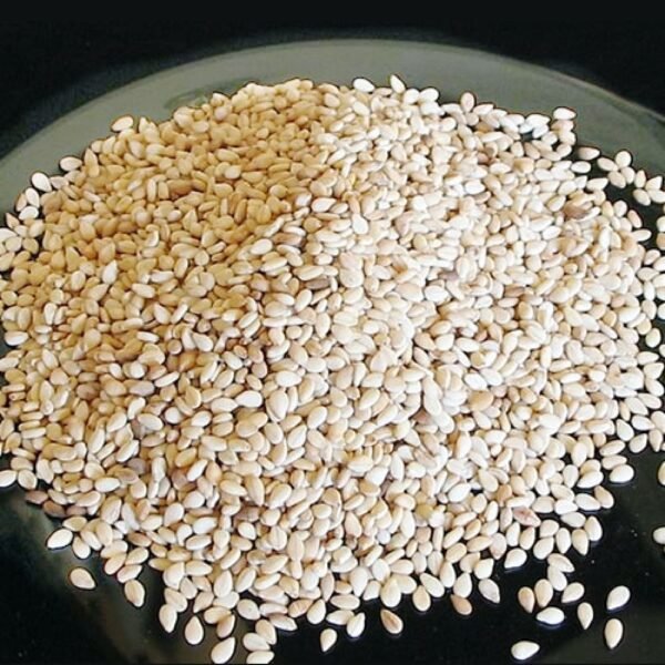 "White Sesame Seeds (Til) for puja, Yagna, and sacred rituals." "White Til for Hindu worship and sacred offerings." "White Sesame Seeds for Hawan and religious ceremonies."